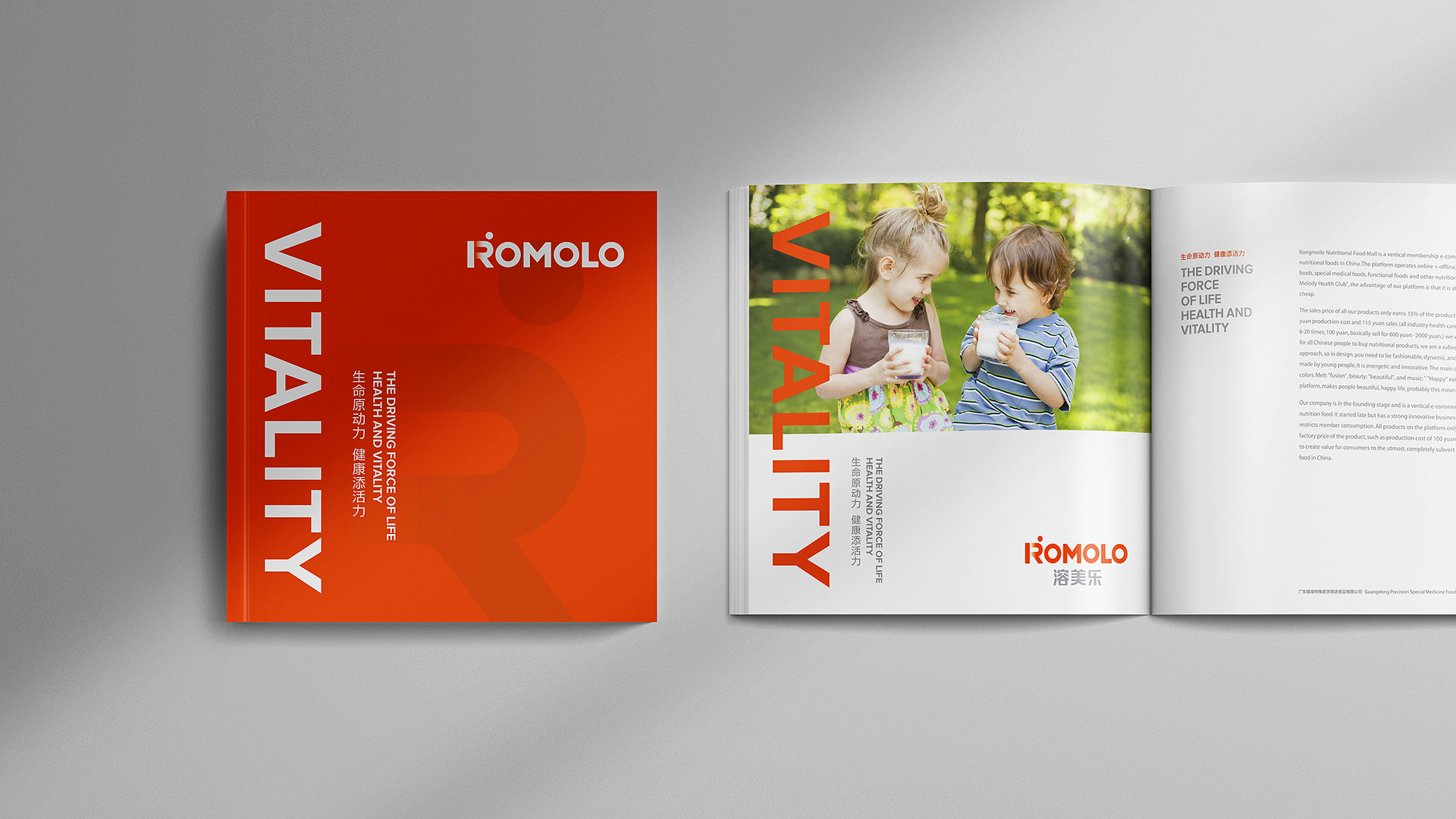 企業(yè)VI設(shè)計(jì)