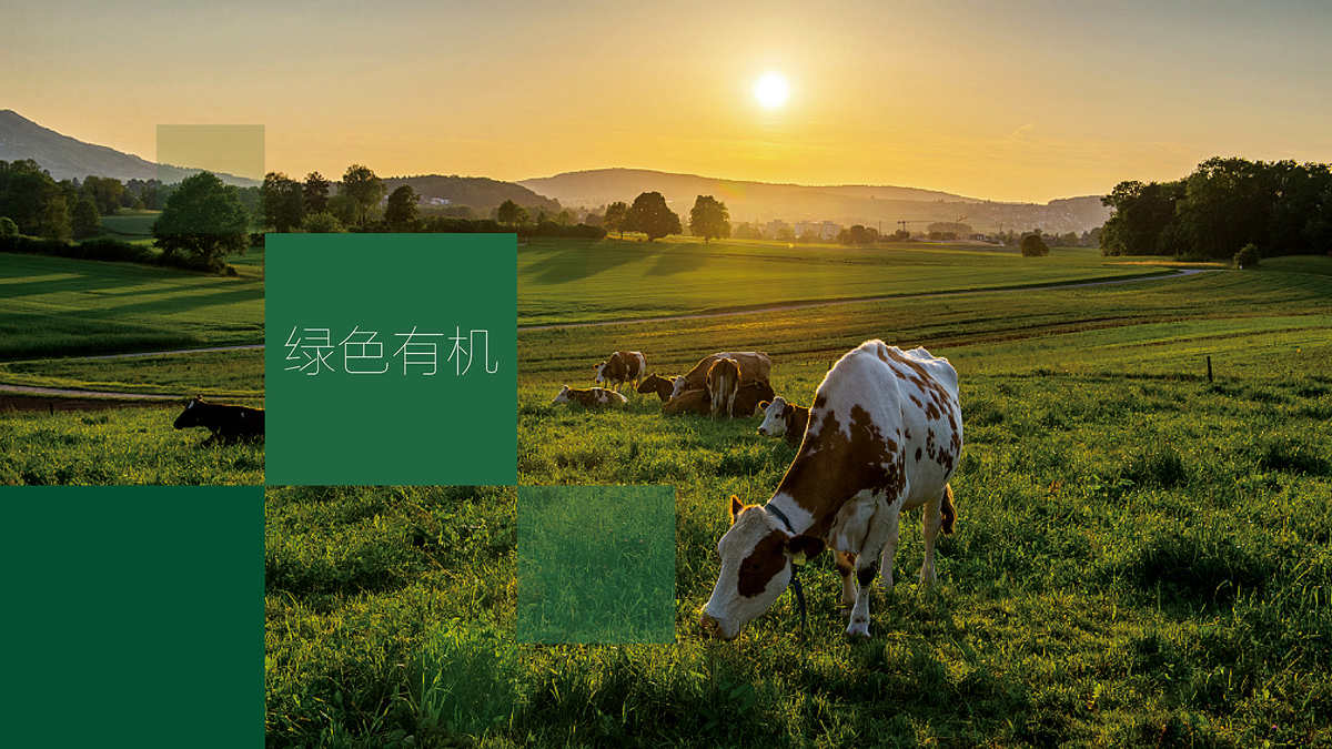 深圳品牌vi設計